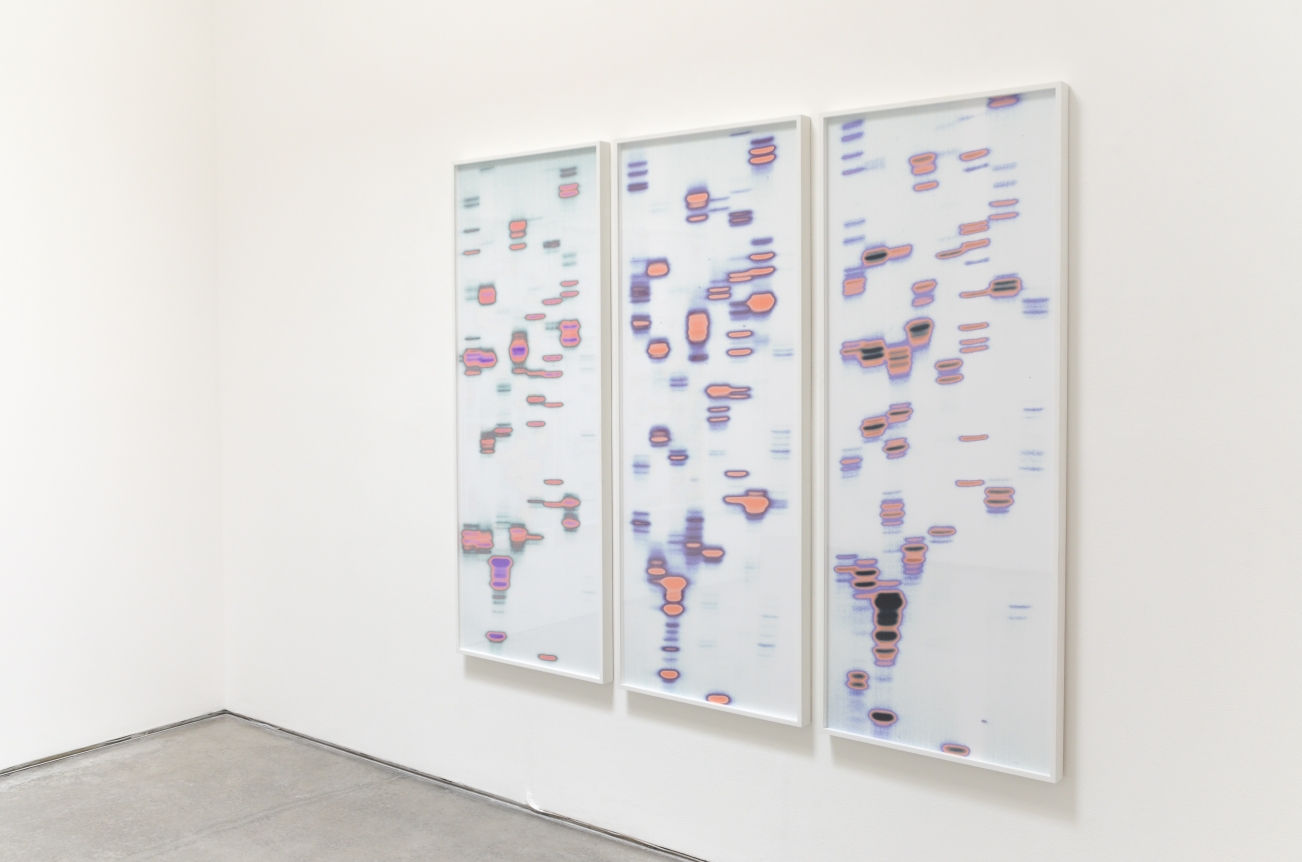 Iñigo Manglano-Ovalle, Christopher Grimes Gallery