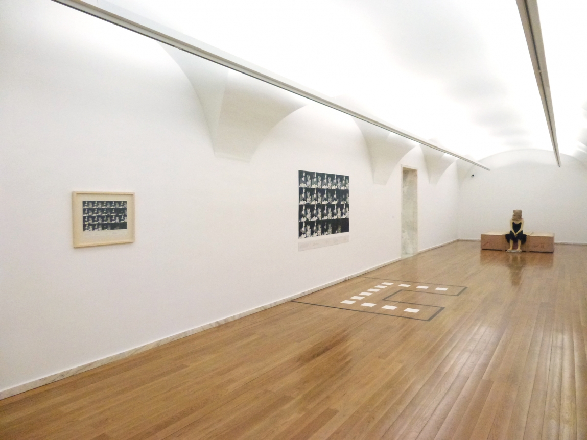 Julião Sarmento, Índex, Museu de Arte Contemporânea de Elvas