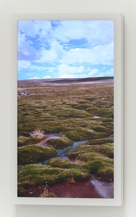 Gianfranco Foschino, Christopher Grimes Gallery