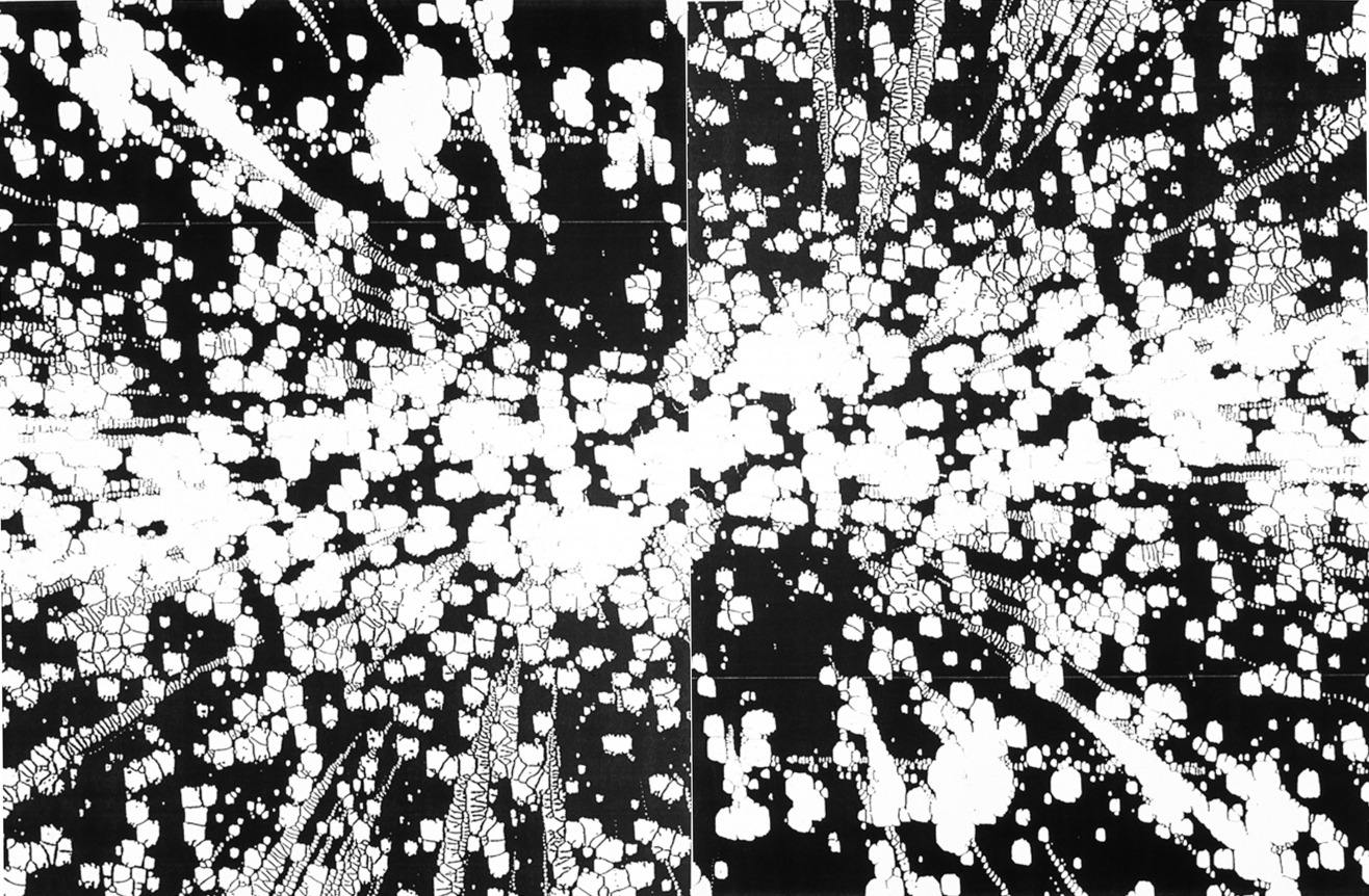 Scott Short, Christopher Grimes Gallery