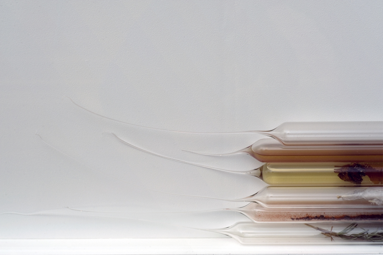 Dane Mitchell, Dunedin Public Art Gallery