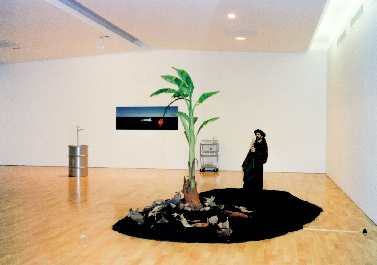 Amnesia, Christopher Grimes Gallery