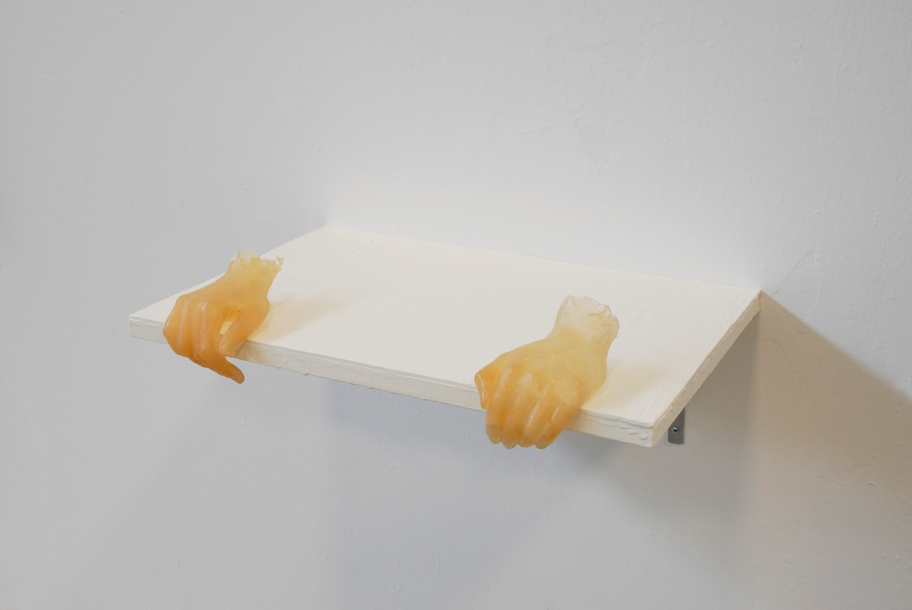Julião Sarmento, Christopher Grimes Gallery