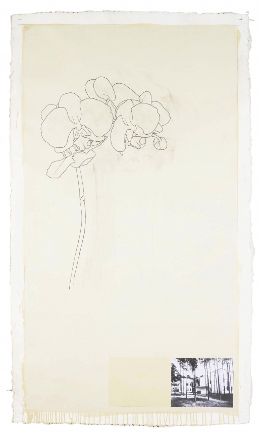 Julião Sarmento, Juliao Sarmento, Christopher Grimes Gallery