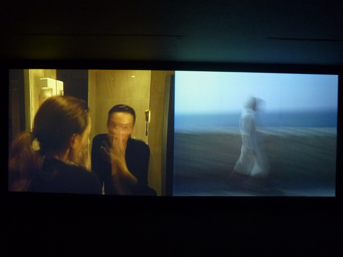 Julião Sarmento, An Extreme Form of Privacy, Museo de Arte Carrillo Gil