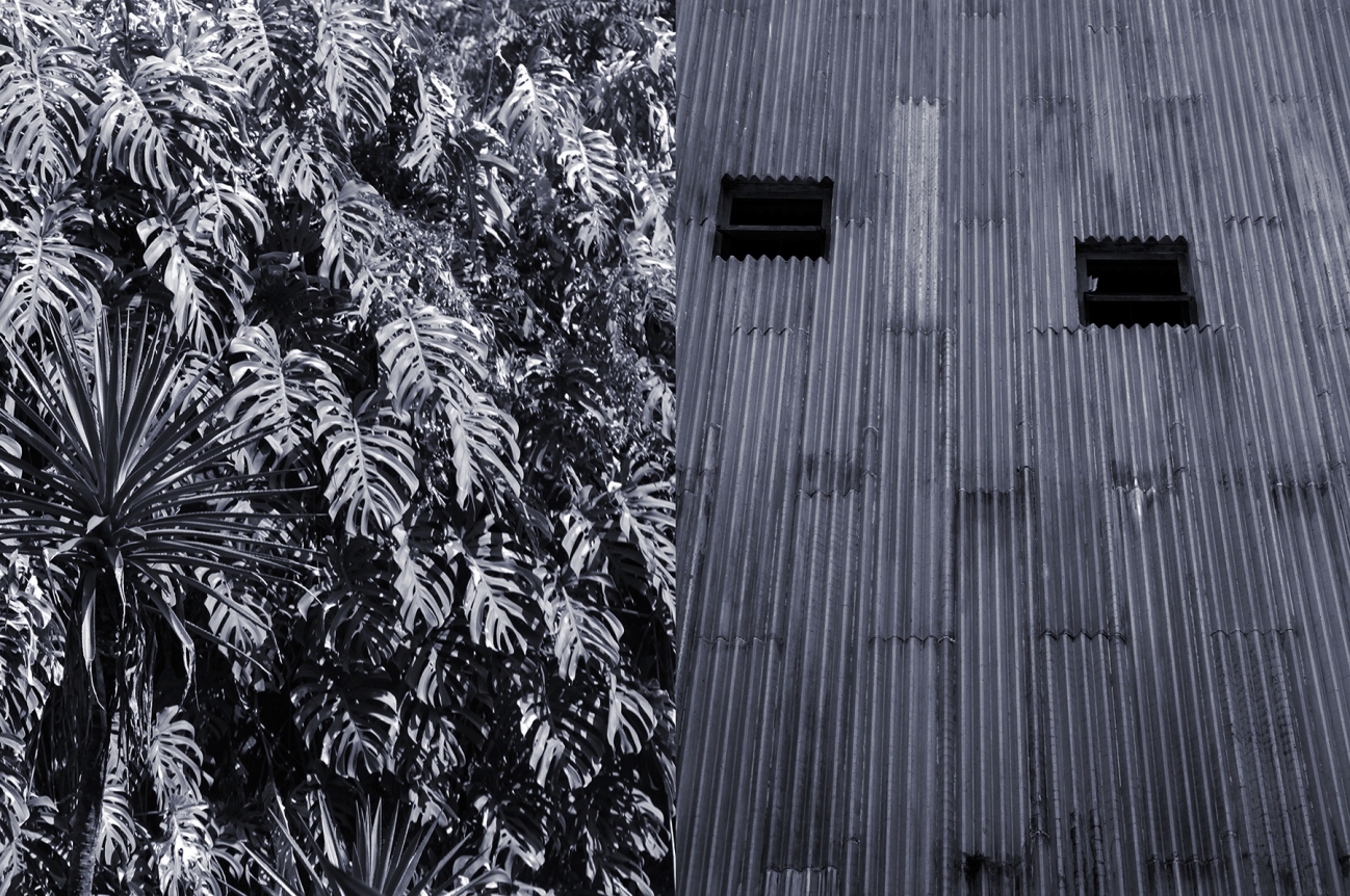 Veronika Kellndorfer, Christopher Grimes Gallery