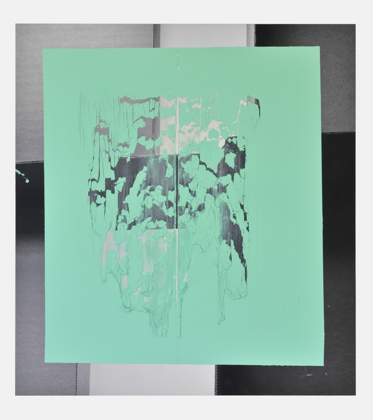 Carlos Bunga, Christopher Grimes Gallery