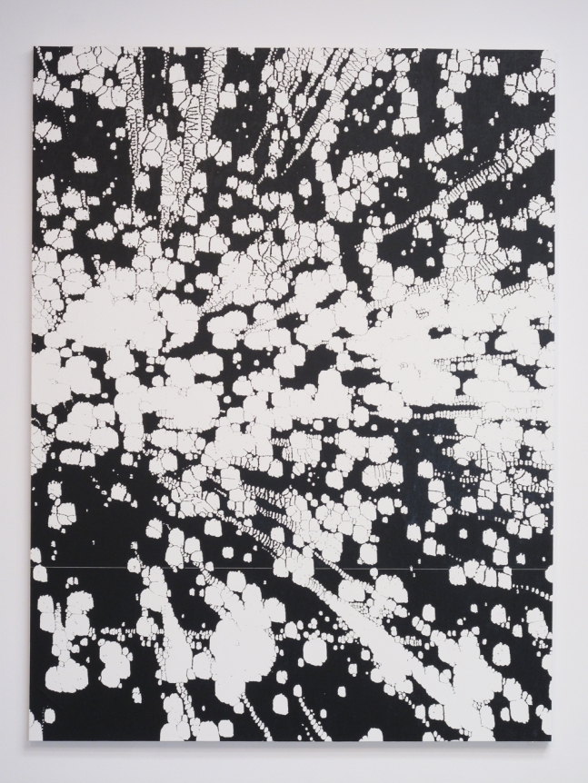 Scott Short, Christopher Grimes Gallery