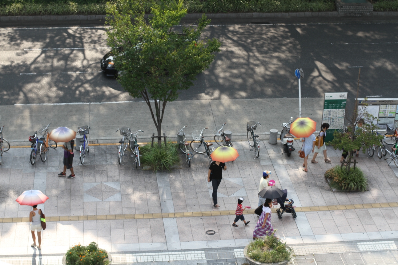 Lucia Koch, Aichi Triennale