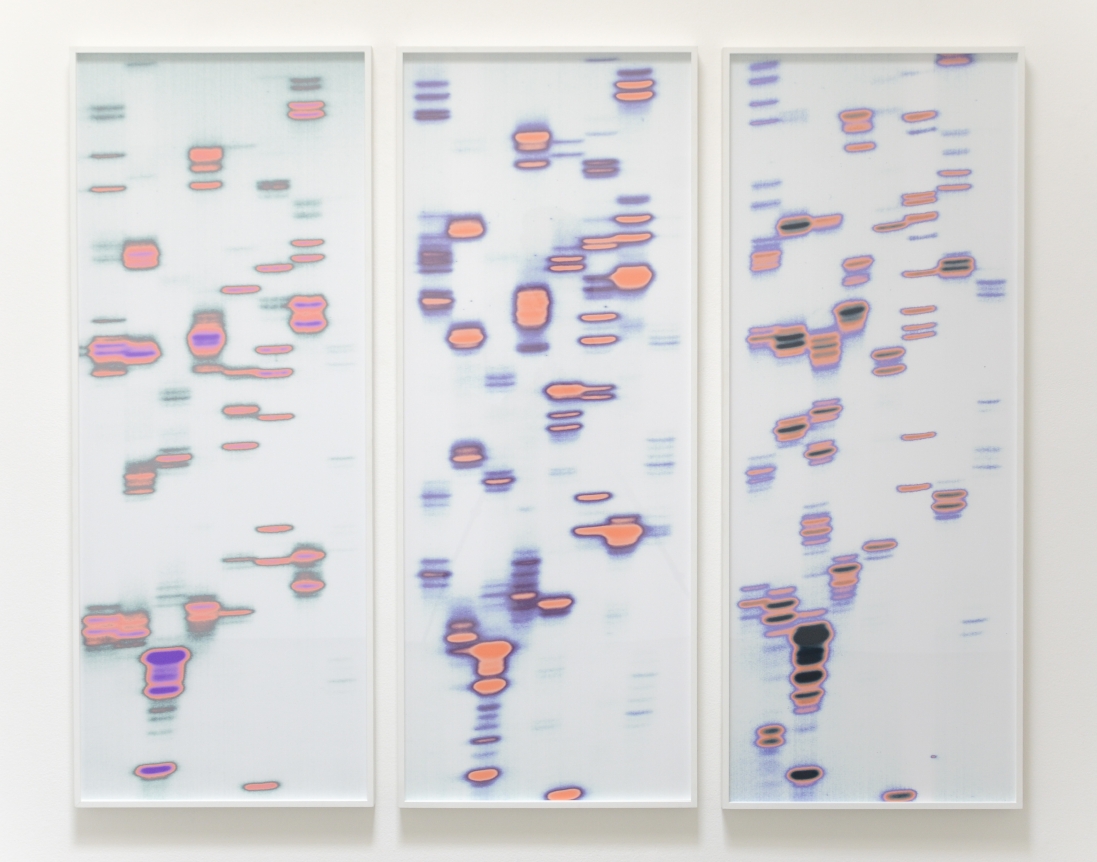 Iñigo Manglano-Ovalle, Christopher Grimes Gallery