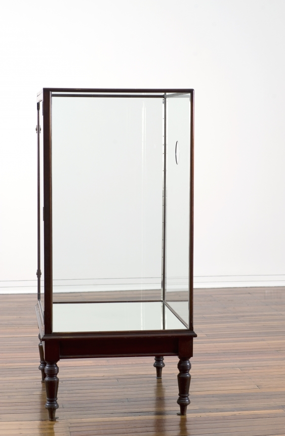 Dane Mitchell, Dunedin Public Art Gallery