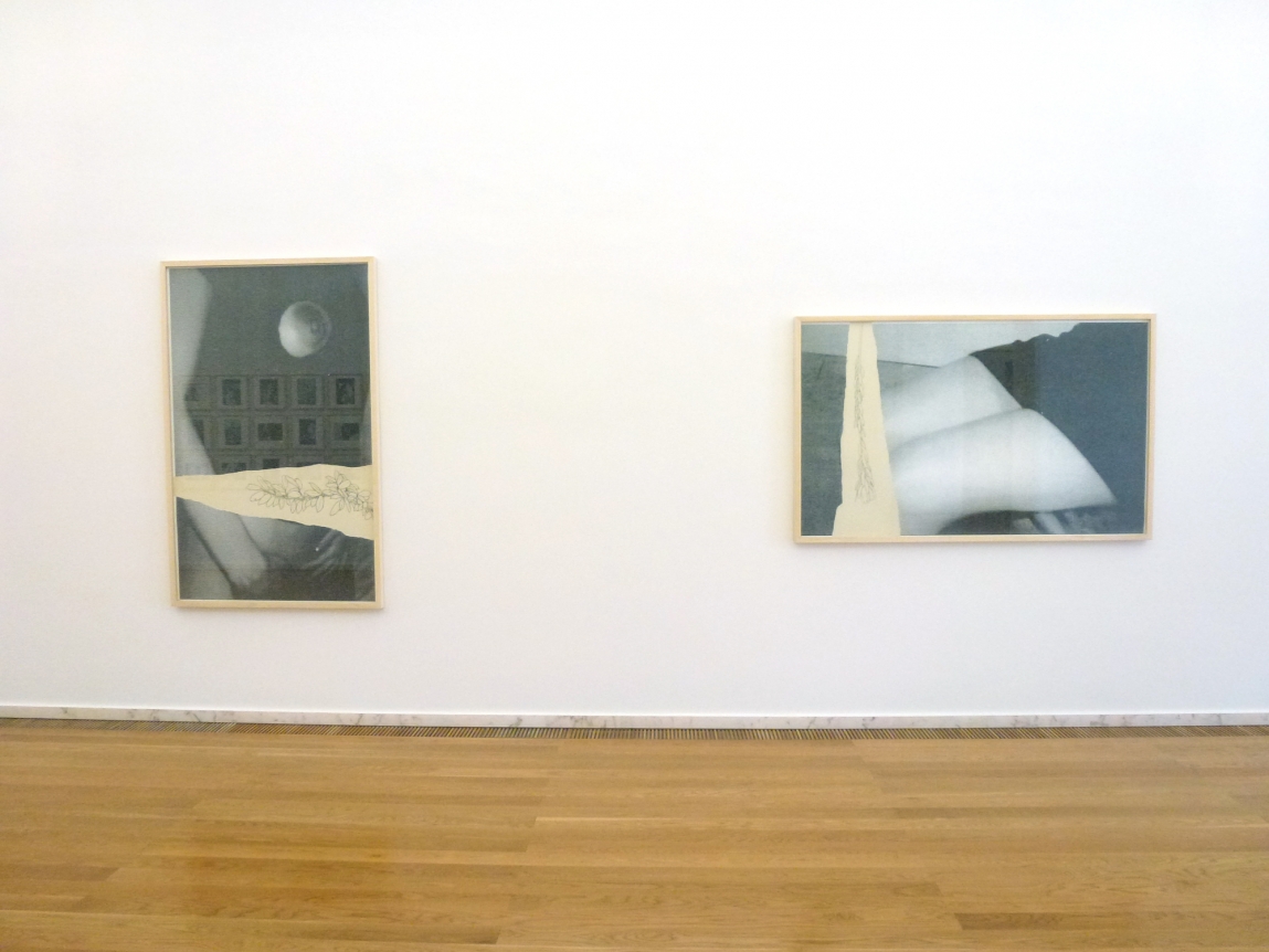 Julião Sarmento, Índex, Museu de Arte Contemporânea de Elvas