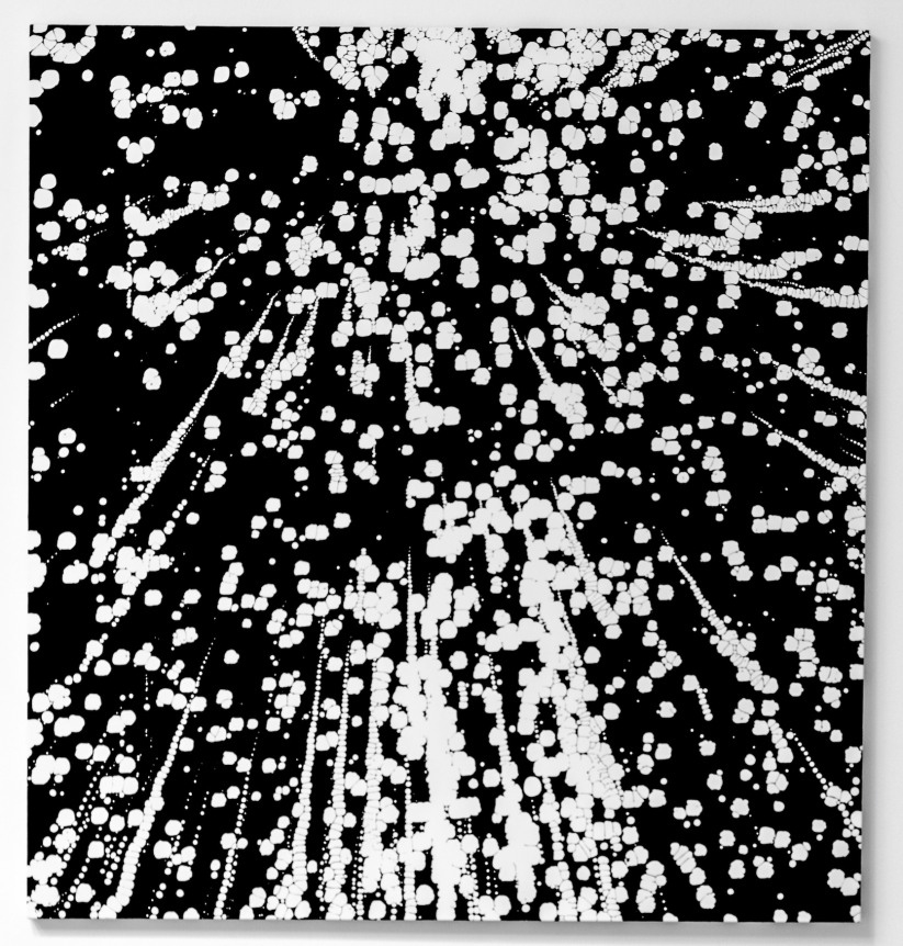 Scott Short, Christopher Grimes Gallery