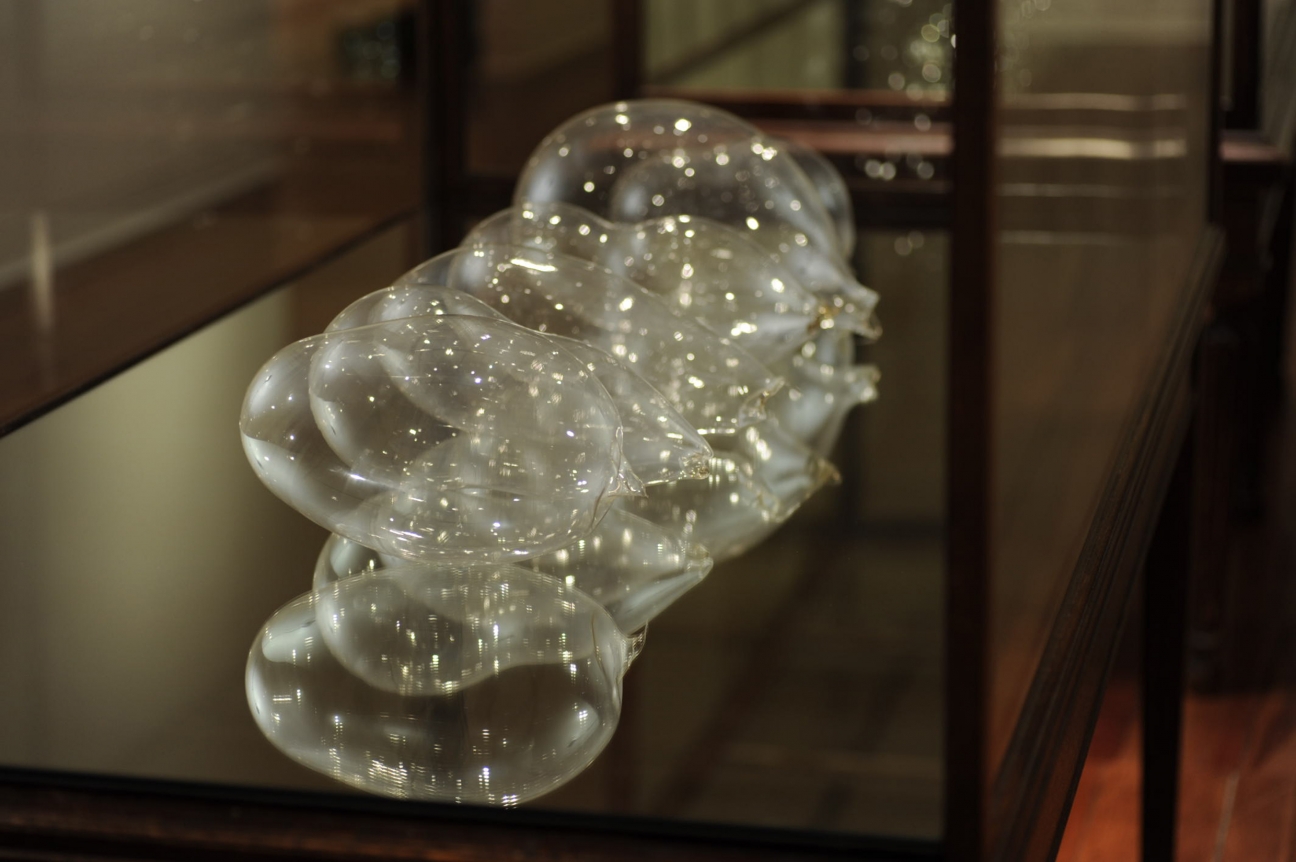 Dane Mitchell, Dunedin Public Art Gallery