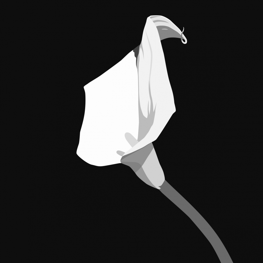 Lily (after Mapplethorpe), Kota Ezawa, Christopher Grimes Gallery
