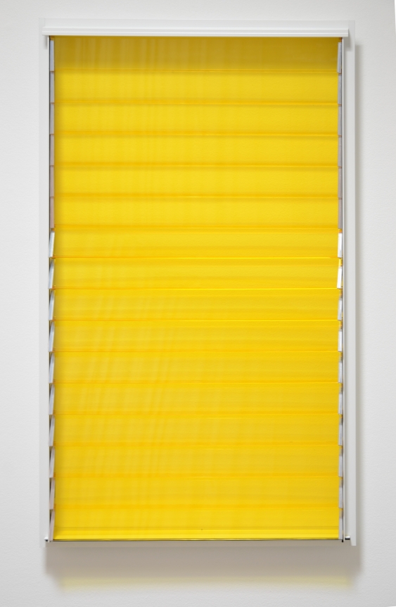 Lucia Koch, Christopher Grimes Gallery