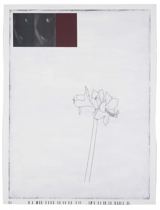 Julião Sarmento, Juliao Sarmento, Christopher Grimes Gallery