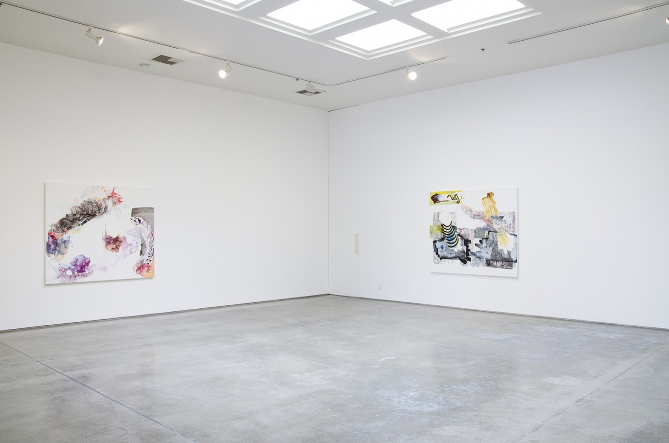Pia Fries, Christopher Grimes Gallery