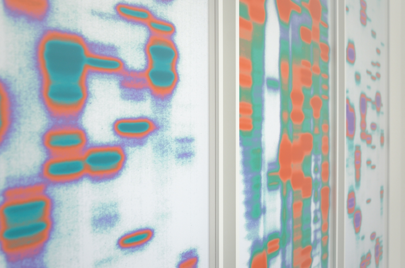 Iñigo Manglano-Ovalle, Christopher Grimes Gallery