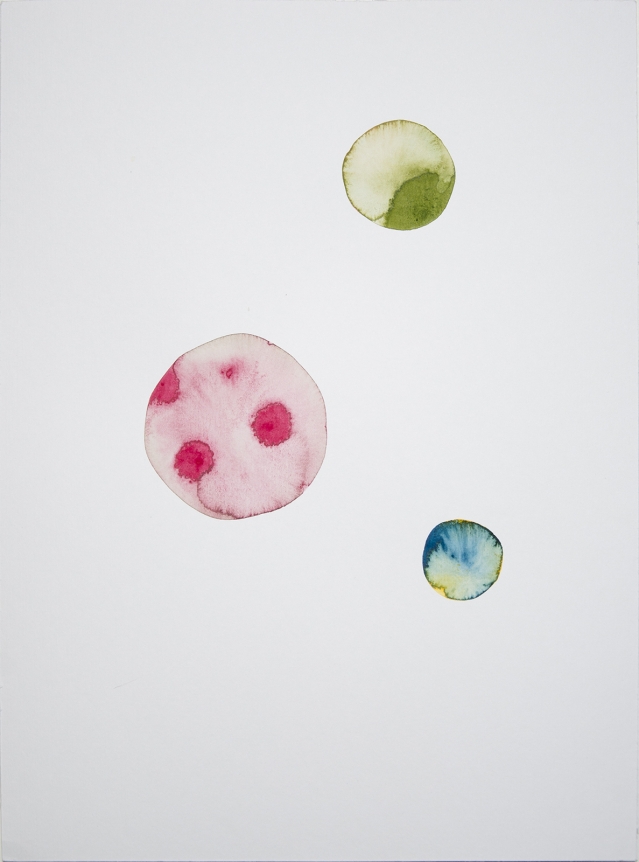 Takehito Koganezawa, Christopher Grimes Gallery
