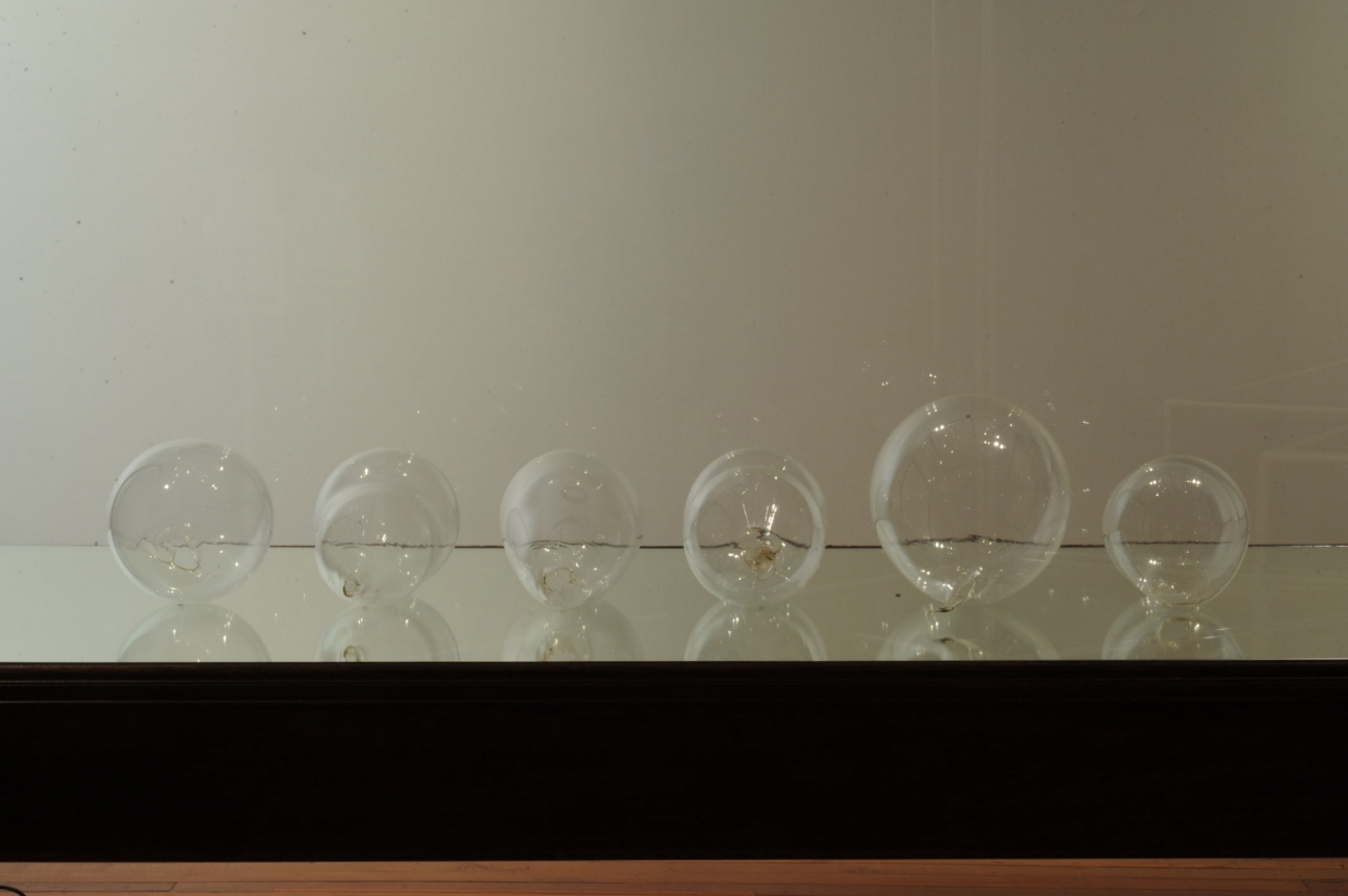 Dane Mitchell, Dunedin Public Art Gallery