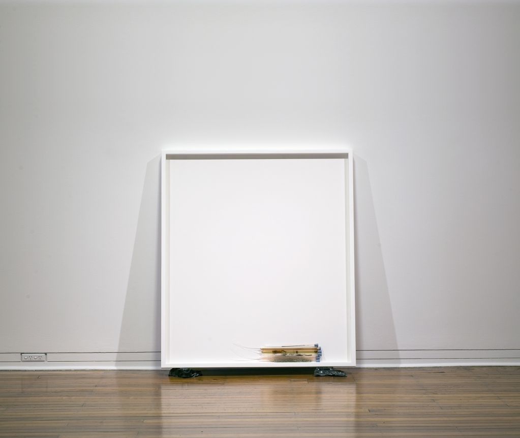 Dane Mitchell, Dunedin Public Art Gallery