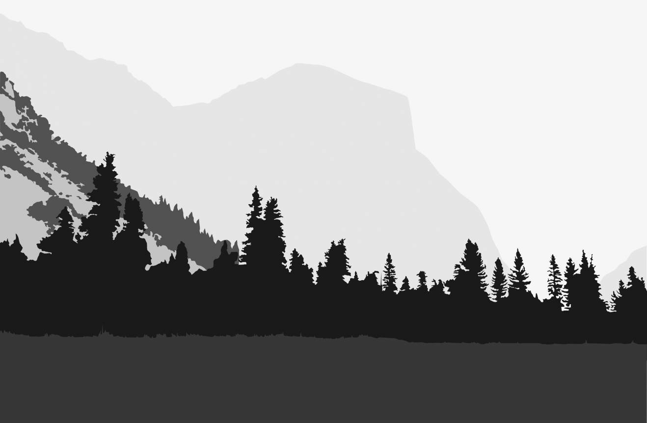 Yosemite, Kota Ezawa, Christopher Grimes Gallery