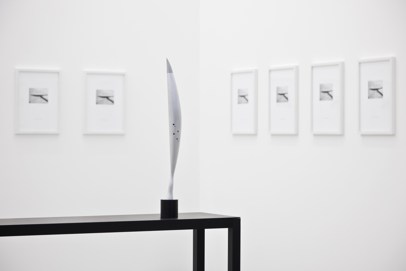 Iñigo Manglano-Ovalle, Ernst Schering Foundation