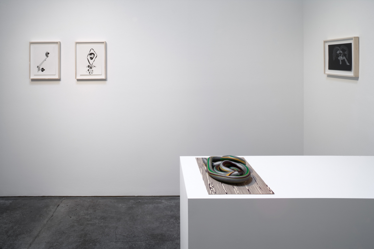 Takehito Koganezawa, Christopher Grimes Gallery