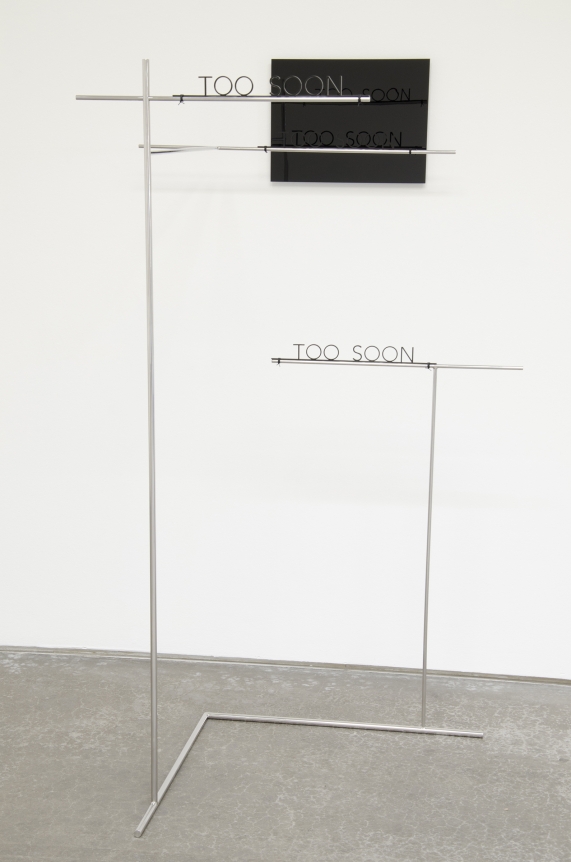 Too Soon, Waltercio Caldas, Christopher Grimes Gallery