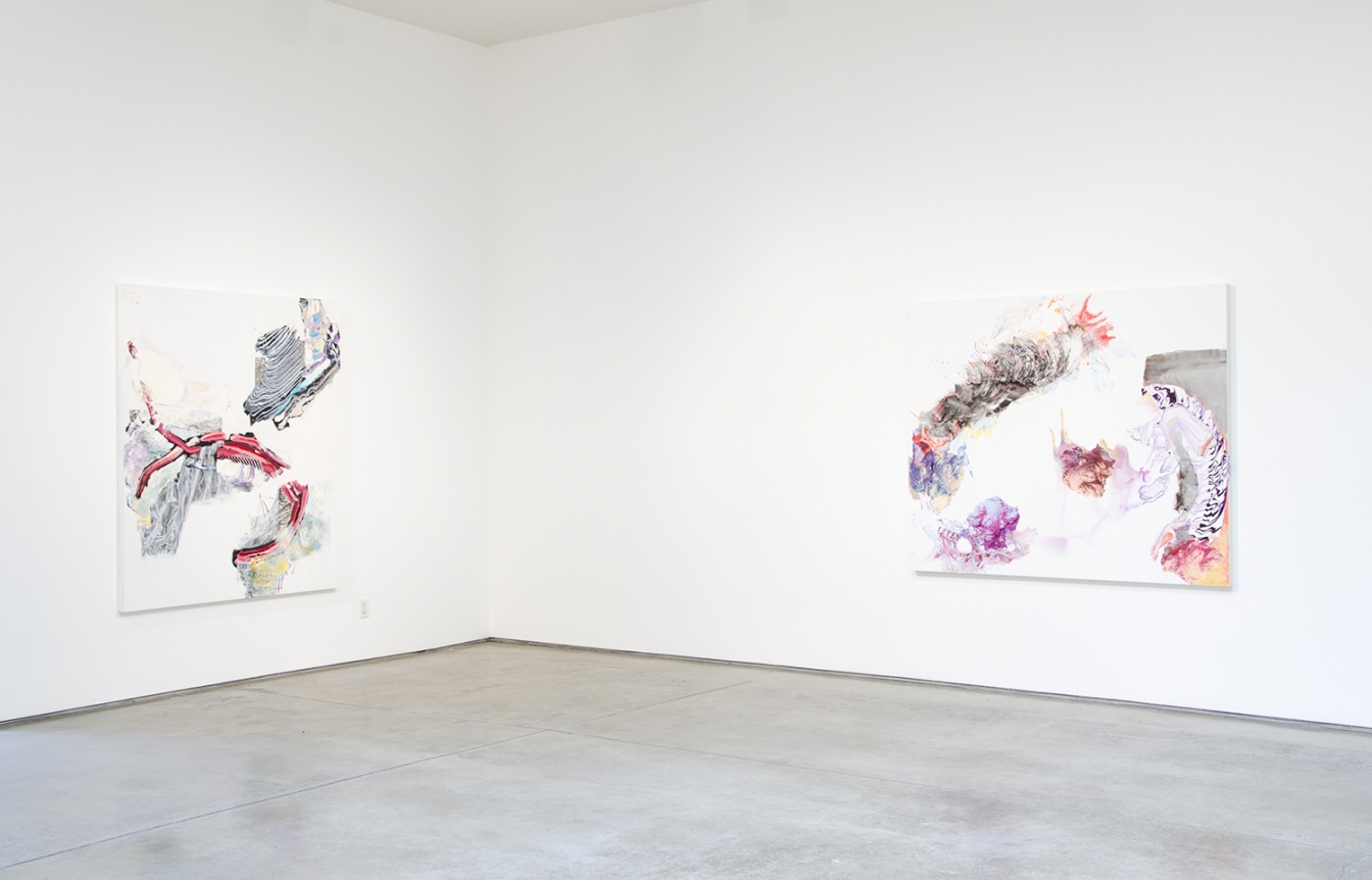 Pia Fries, Christopher Grimes Gallery