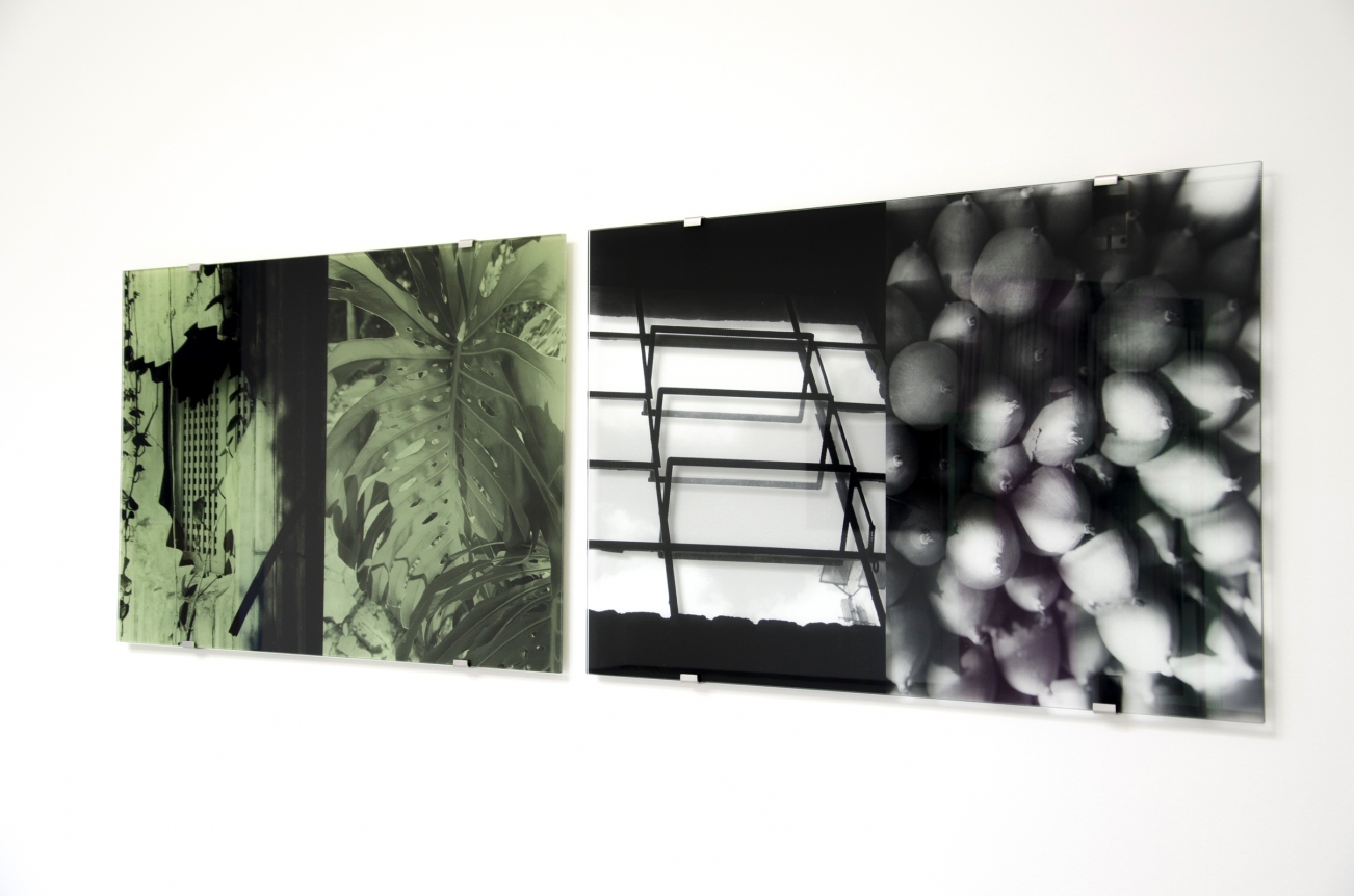 Veronika Kellndorfer, Christopher Grimes Gallery