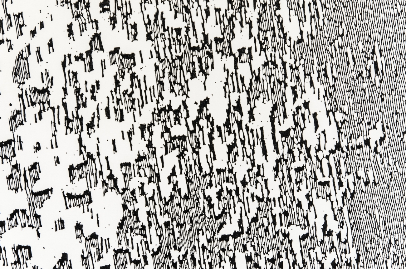 Scott Short, Christopher Grimes Gallery