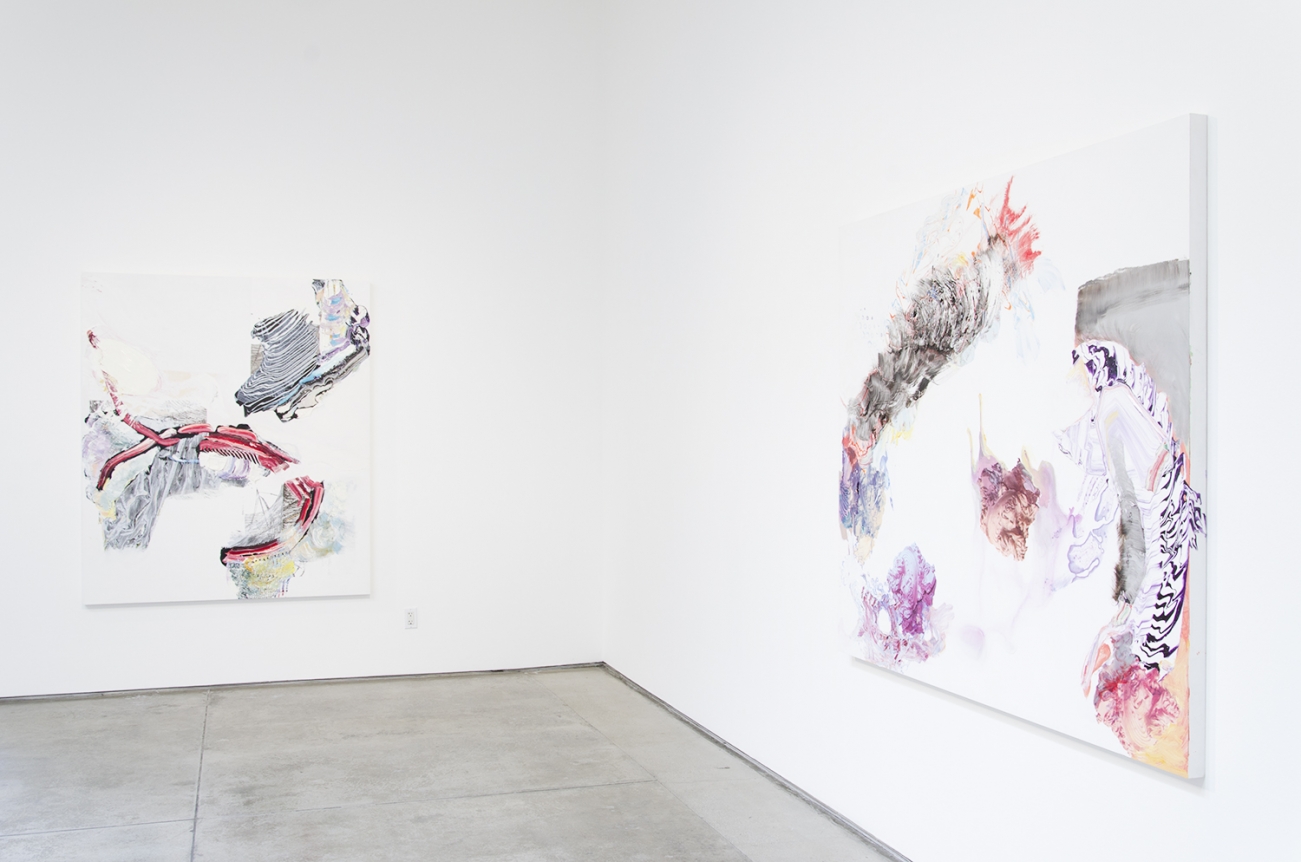 Pia Fries, Christopher Grimes Gallery