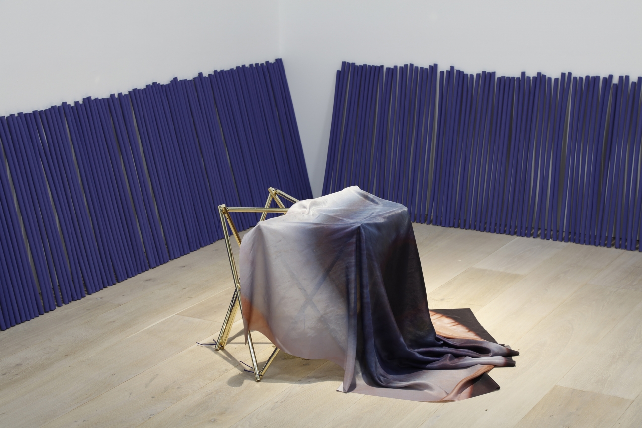 Dane Mitchell, Mori Art Museum