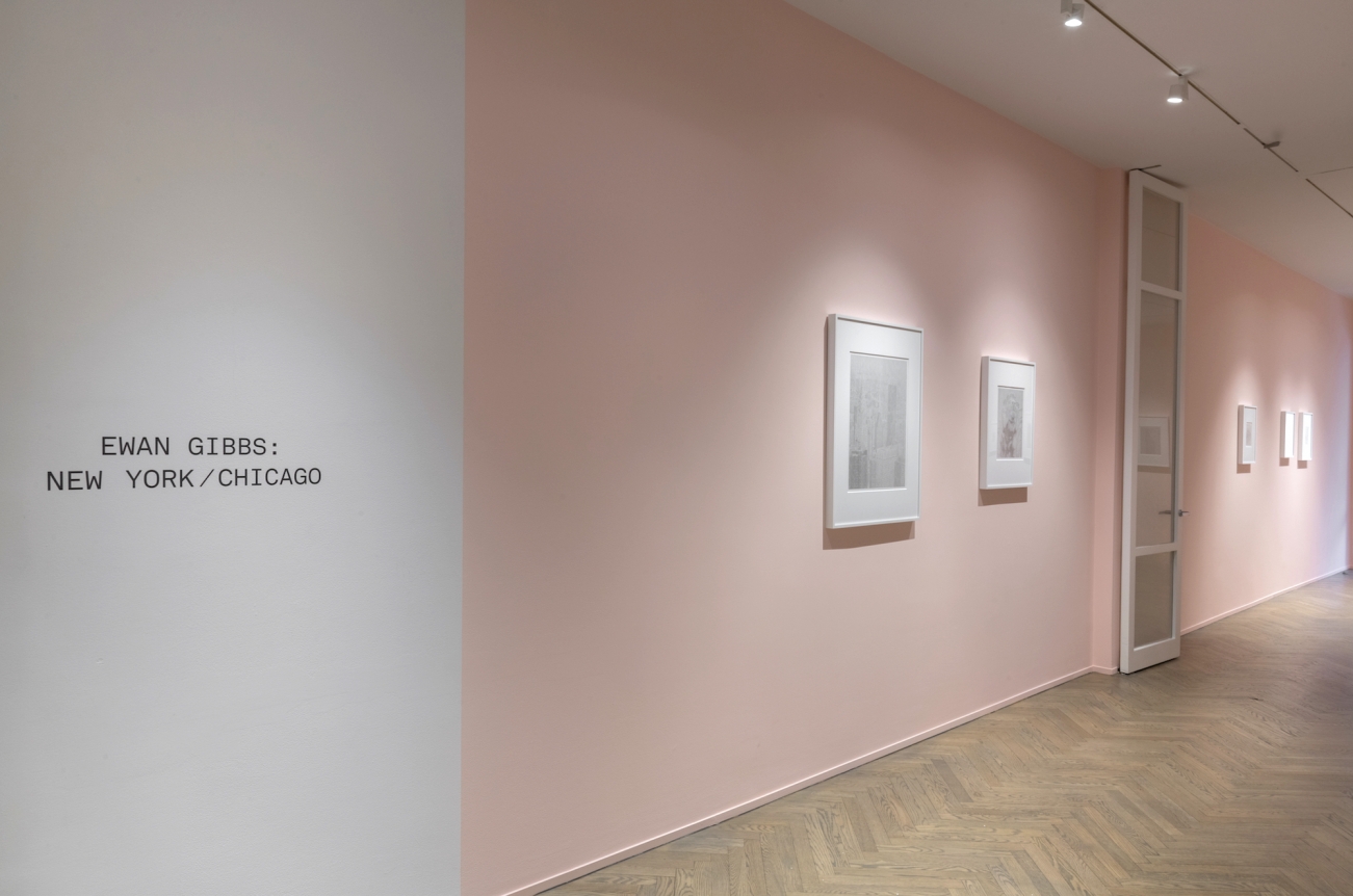 Installation view of Ewan Gibbs: New York / Chicago, 2019, Richard Gray Gallery, New York.