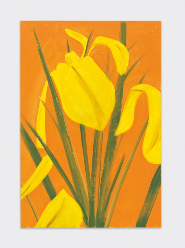 Alex Katz , Iris 4, 2019