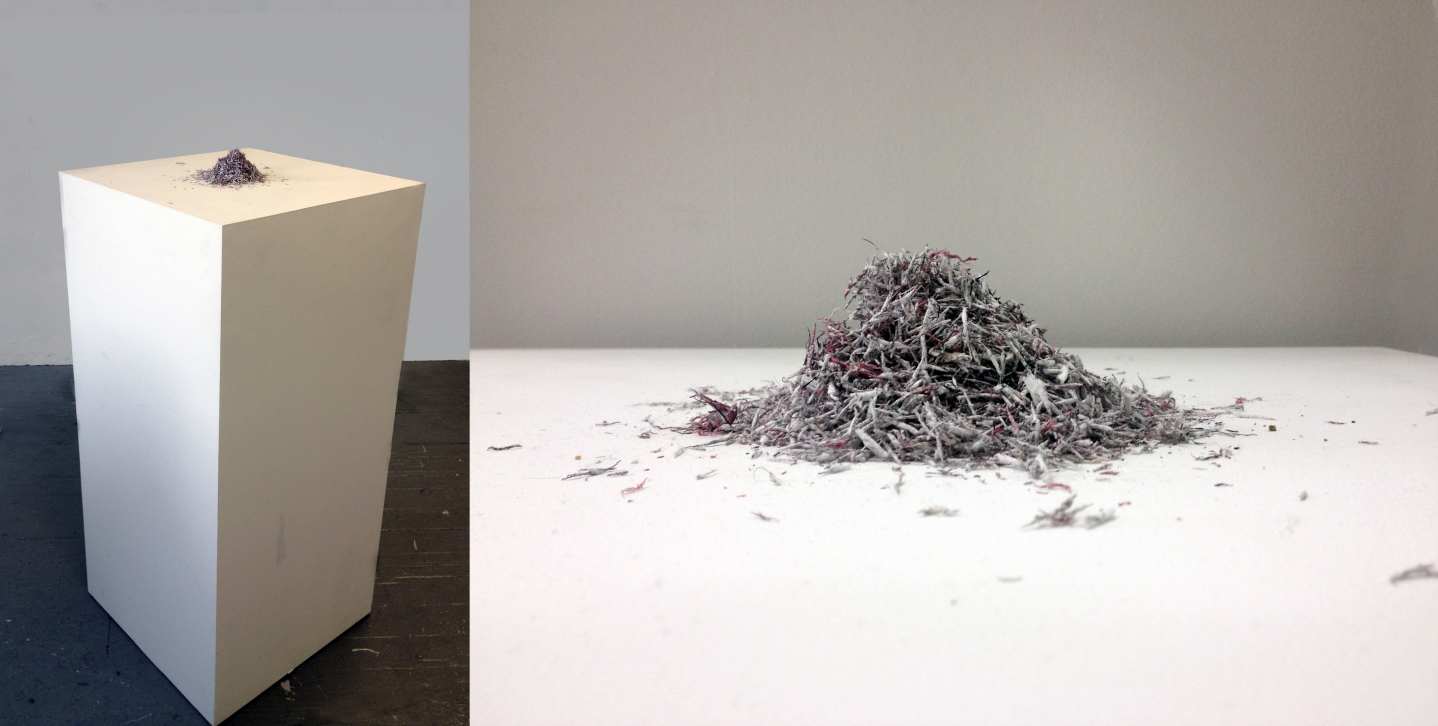 Bethany Collins, Skin, 1965, 2014