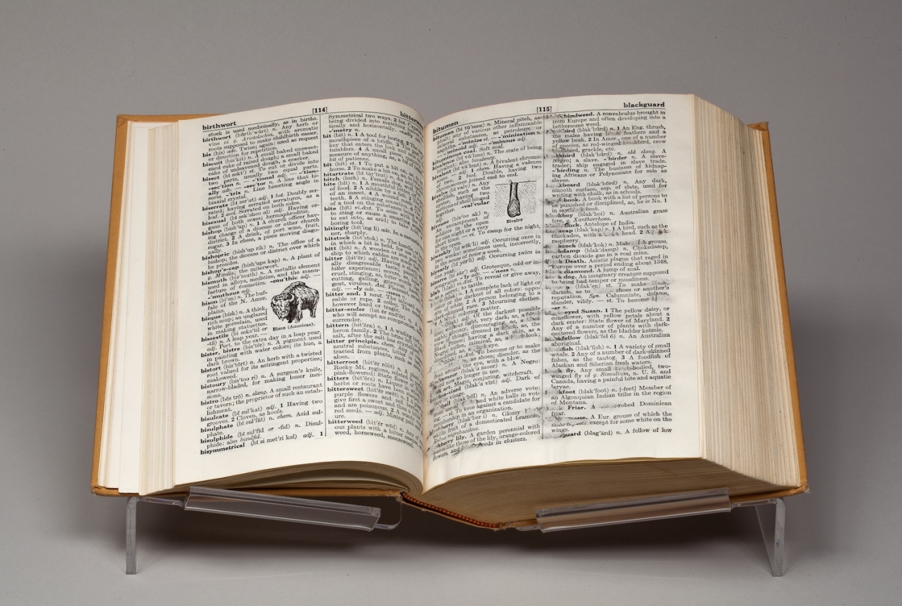 bethany collins black and blue dictionary