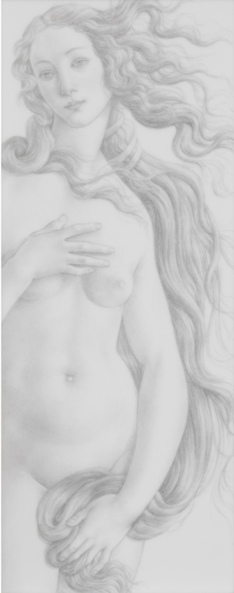 Untitled, 2013, Graphite on Mylar