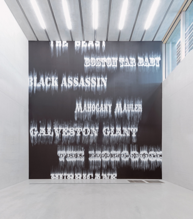 Installation view, 2014. Pérez Art Museum, Miami.