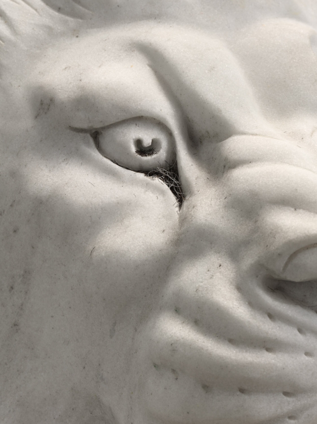 Man's Mind (detail), 2018. Marble, beard trimmings,