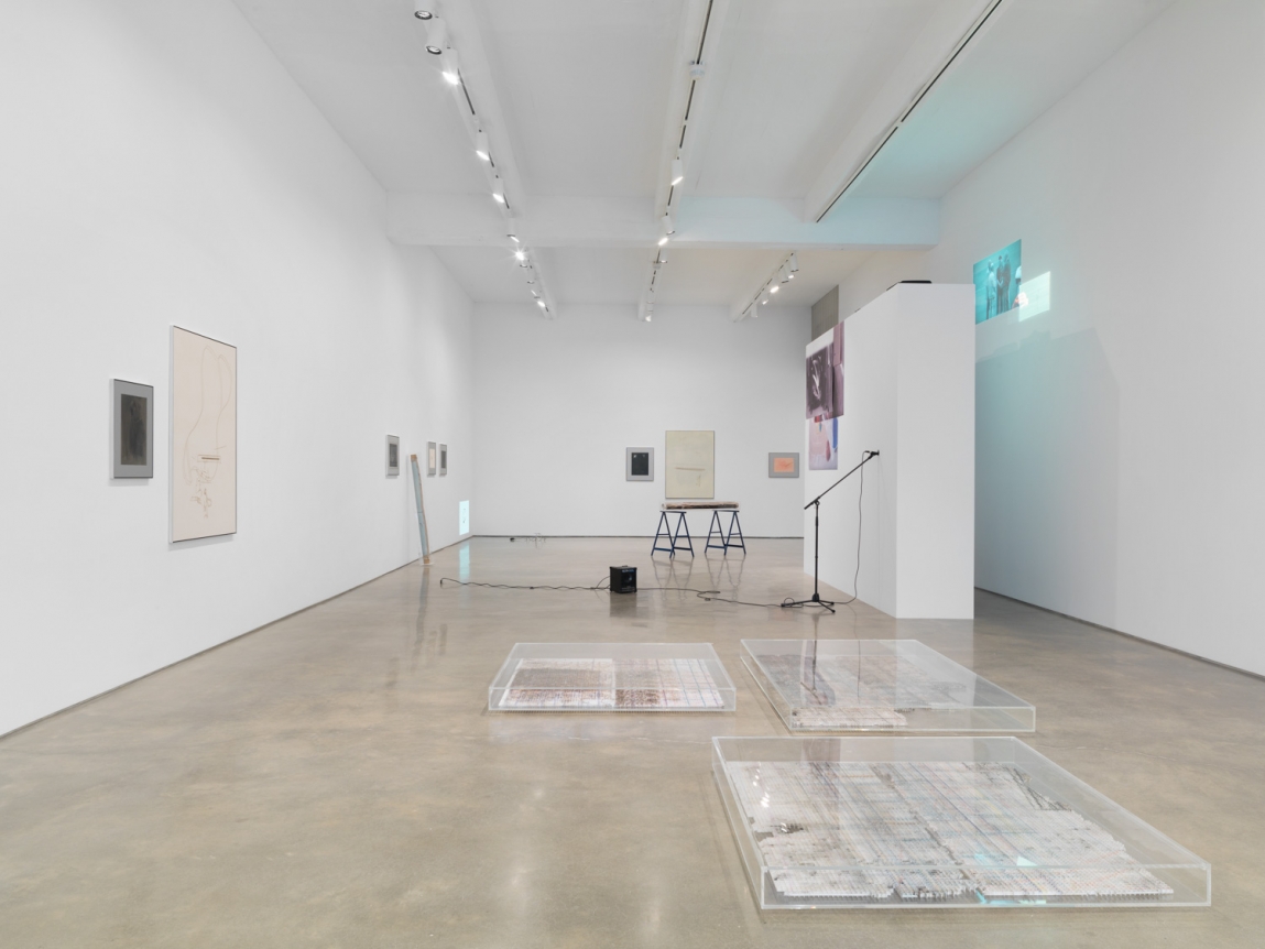 Alterity Line. Installation view, 2018. Metro Pictures, New York.