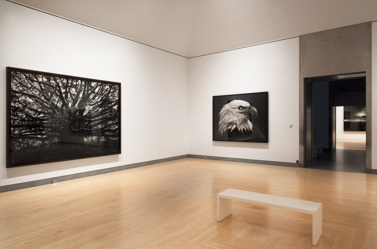 Proof: Francisco Goya, Sergei Eisenstein, Robert Longo. Installation view, 2017. Brooklyn Museum.