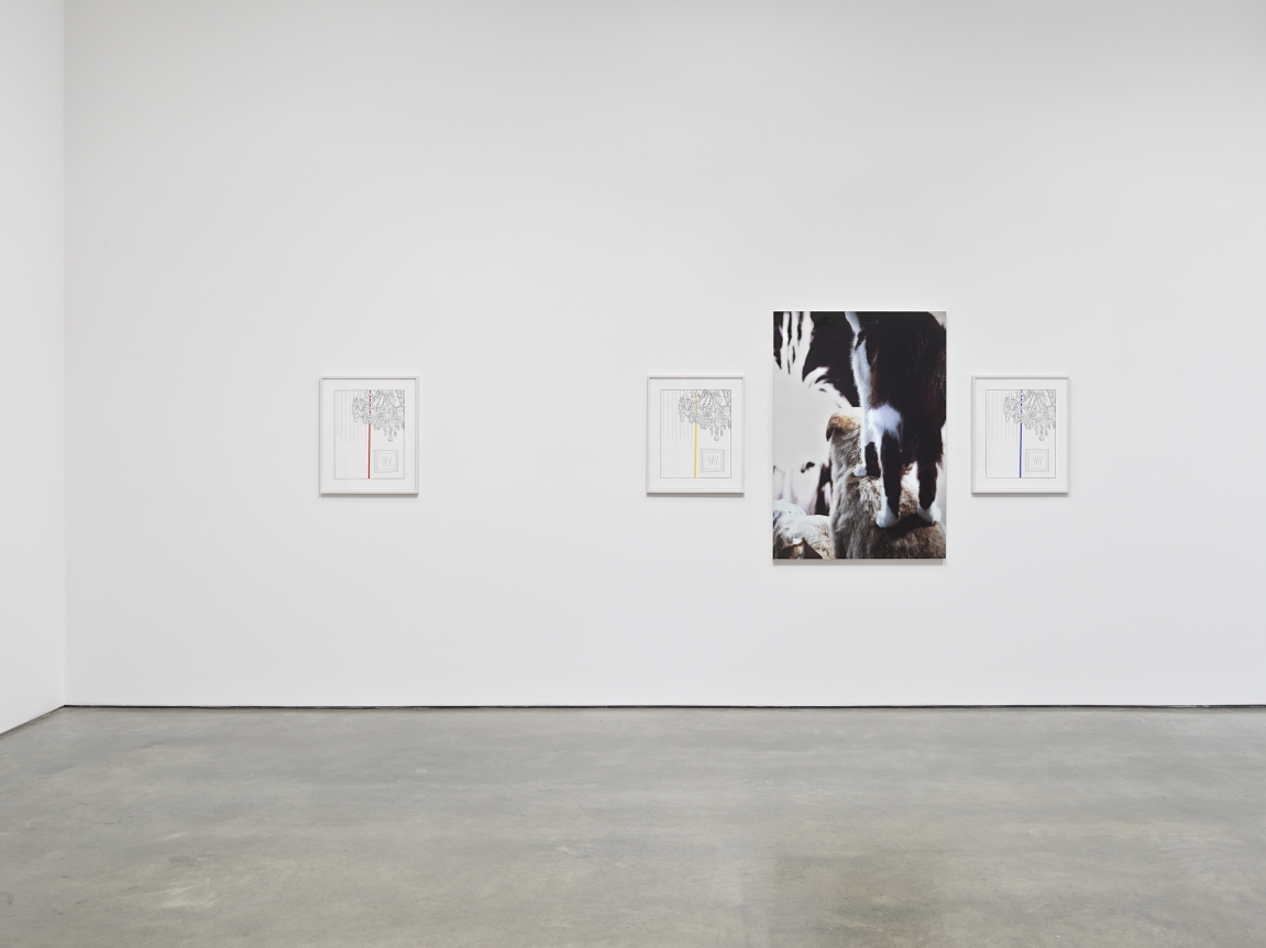 One Show on Top of the Other. Installation view, 2021. Metro Pictures, New York.