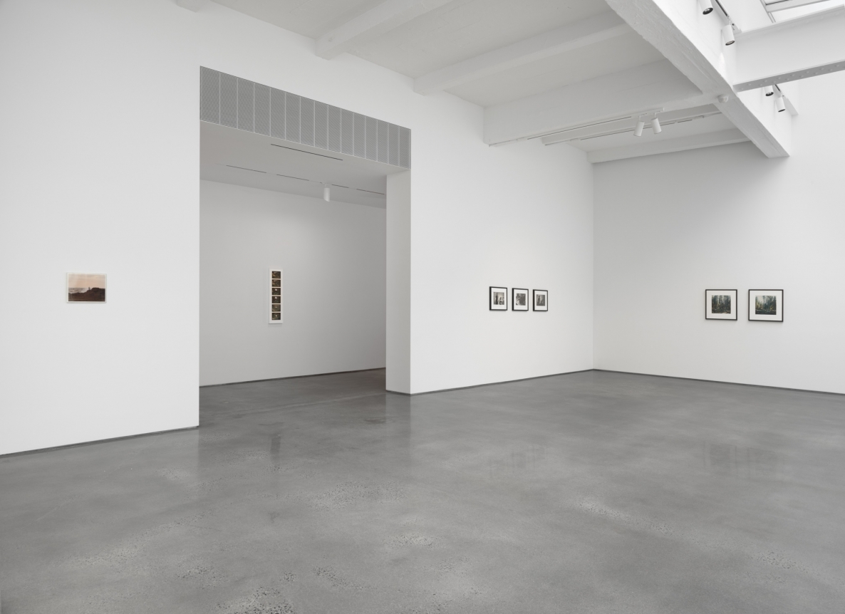 Bas Jan Ader