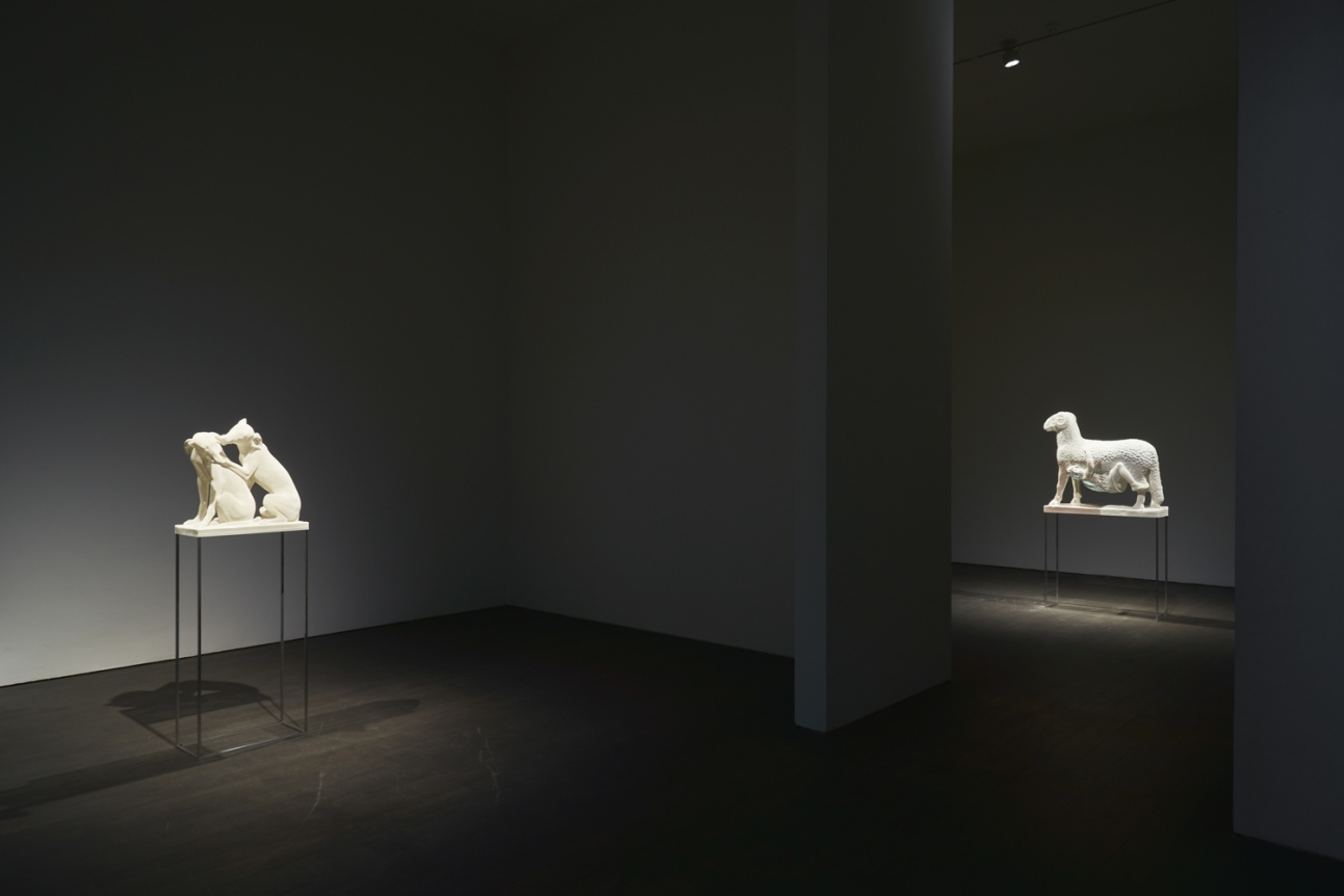 Timelapse. Installation view, 2021. S.M.A.K., Ghent. Photo: Dirk Pauwels.