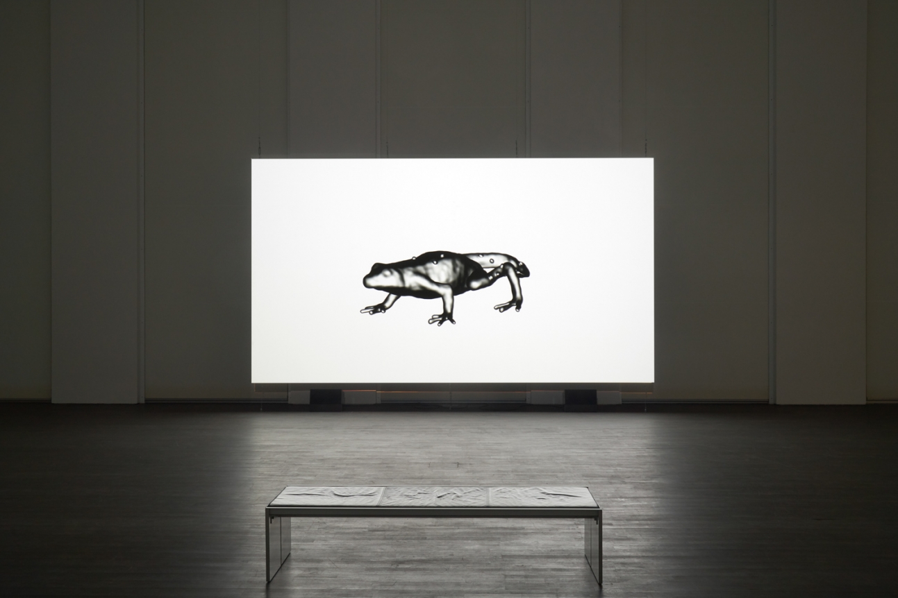 Timelapse. Installation view, 2021. S.M.A.K., Ghent. Photo: Dirk Pauwels.