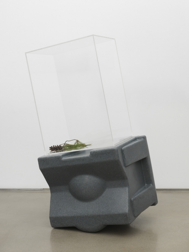 Untitled, 2018. HDPE, Plexiglas box, Pine cone, Pine needles,