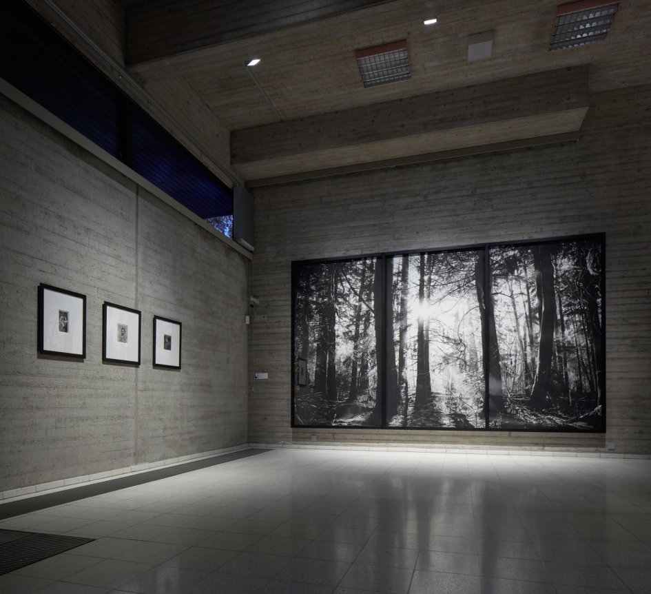 Robert Longo